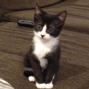 Meet your Posher, Robyn